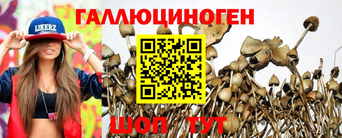 Клинцы  Галлюциногенные грибы MAGIC MUSHROOMS  Вход с VPN 