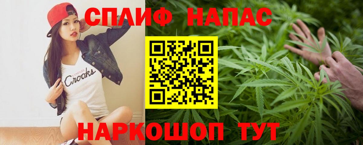 Конопля семена Клинцы